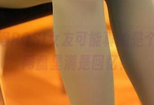 突然觉得ROSI女友可能真的是个熟人，网盘里满是回忆！